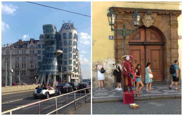 nikola ivanovski i negovoto work travel iskustvo vo germanija potrebno e da se ottrgnesh od rodniot grad za da mozesh da si odgovorish na postavenite prasanja 8