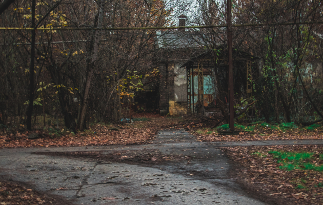 foto prikazna grobishta na vozovi i zaborav vo blizina na budimpeshta 2