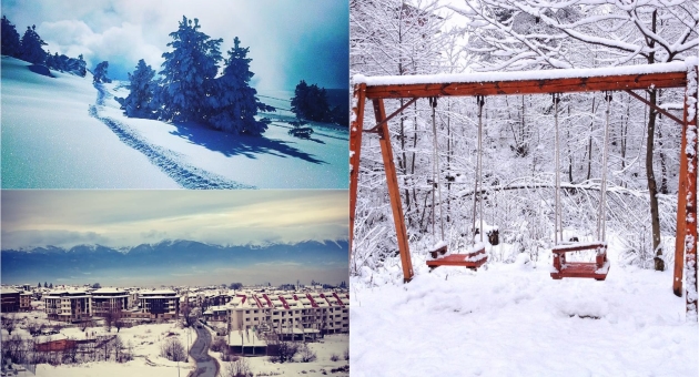 instagram-fotki-od-prviot-sneg-vo-bansko-01.jpg