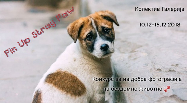 humanitaren-nastan-za-onie-bezglasnite-bezdomnite-zivotni-niz-gradot-02.jpg