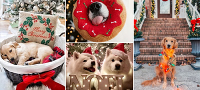 najubavite-instagram-fotki-od-kuchinja-koi-se-raduvaat-na-praznichnata-magija-povekje01.jpg