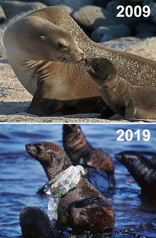 edinstvenite-fotografii-od-10yearchallenge-koi-treba-da-gi-zapametite-10.jpg