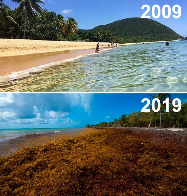 edinstvenite-fotografii-od-10yearchallenge-koi-treba-da-gi-zapametite-15.jpg