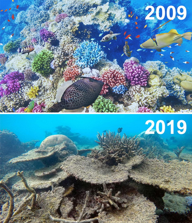 edinstvenite-fotografii-od-10yearchallenge-koi-treba-da-gi-zapametite-18.jpg