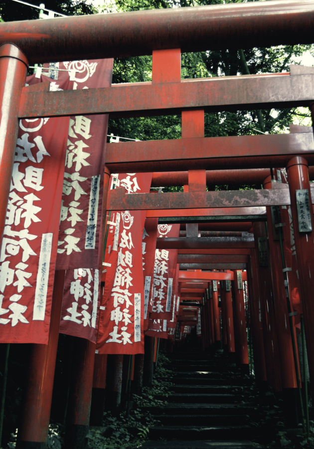 disciplina zivot vo pretesni stanovi i neobicni slucuvanja shto znaci da se bide turist vo japonija 18