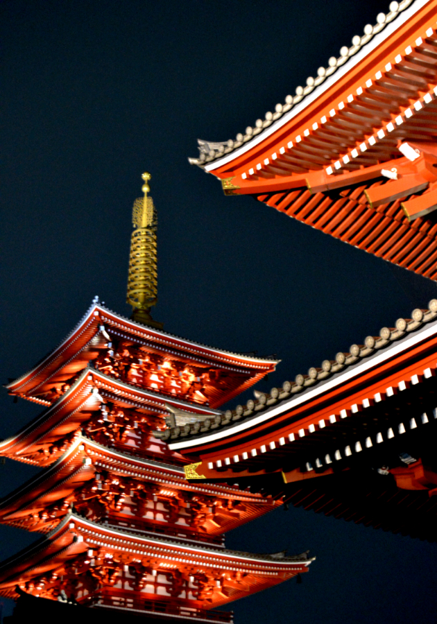 disciplina zivot vo pretesni stanovi i neobicni slucuvanja shto znaci da se bide turist vo japonija 18