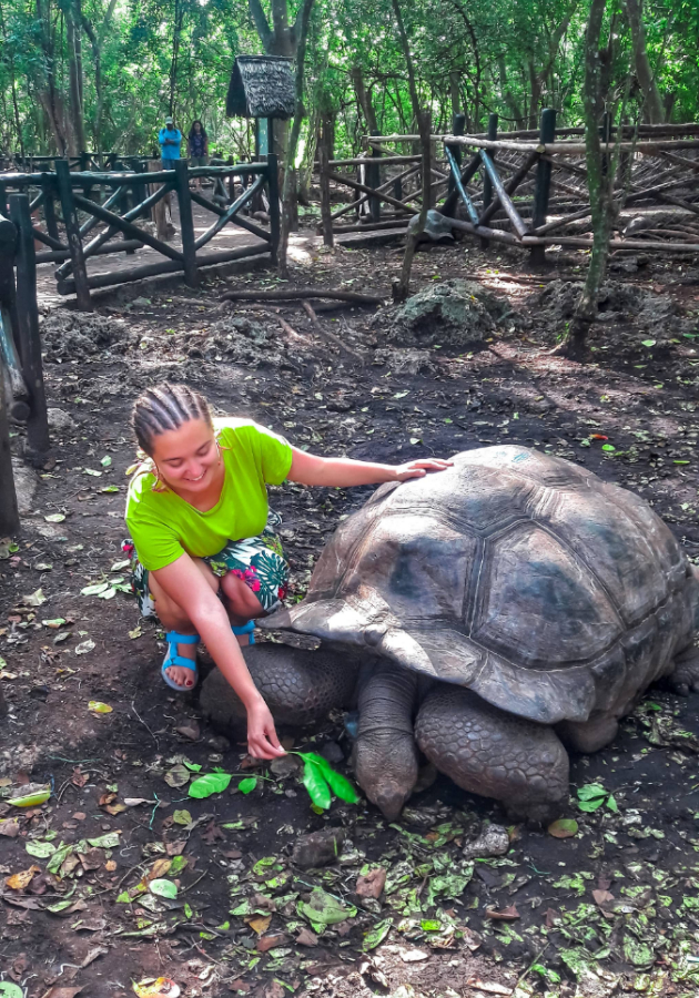 Matea miceska vo tanzanija plivav so delfini kampuvav i se budev so zvukot na hieni i si gi izostriv site setila 6