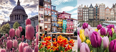najubavite-instagram-fotki-mesta-niz-svetot-vo-proletno-izdanie-so-rascvetani-lalinja-povekje.jpg