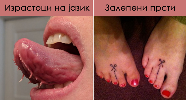 shest-prsti-pramen-kosa-vo-druga-boja-lugje-so-unikatni-genetskite-karakteristiki-foto-01.jpg