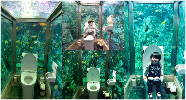 turistichka-atrakcija-vo-japonsko-kafule-toalet-vo-koj-ste-opkruzheni-so-akvarium-so-ribi-01.jpg