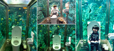 turistichka-atrakcija-vo-japonsko-kafule-toalet-vo-koj-ste-opkruzheni-so-akvarium-so-ribi-povekje01.jpg