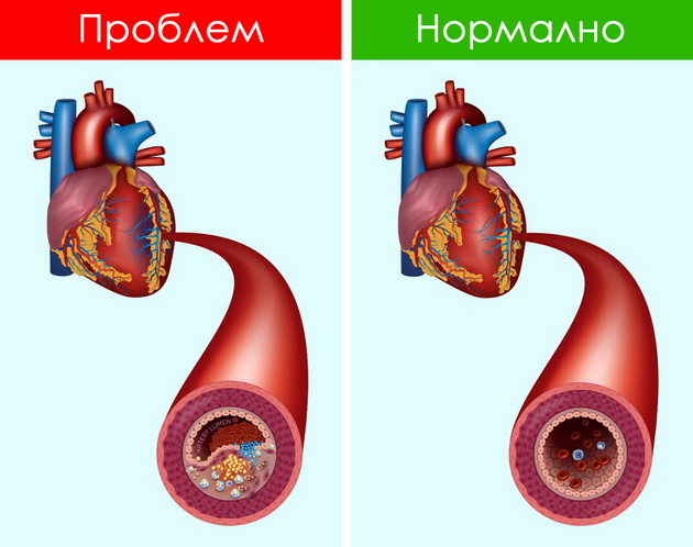 shto-kje-mu-se-sluchi-na-vasheto-telo-ako-edna-nedela-jadete-po-3-urmi-sekojdnevno-06.jpg