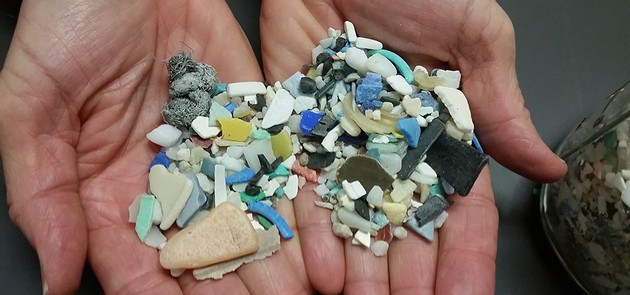 kolku-plastka-vnesuvame-vo-organizmot-sekoj-den-01.jpg