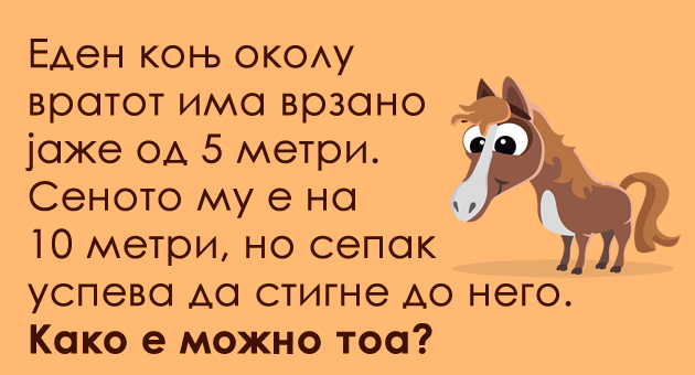 trik-prashanje-kako-uspeva-konjot-da-stigne-do-senoto-01.jpg