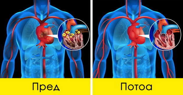 8-raboti-shto-kje-mu-se-sluchat-na-teloto-ako-pochnete-sekoj-den-da-piete-sok-od-domati-02.jpg