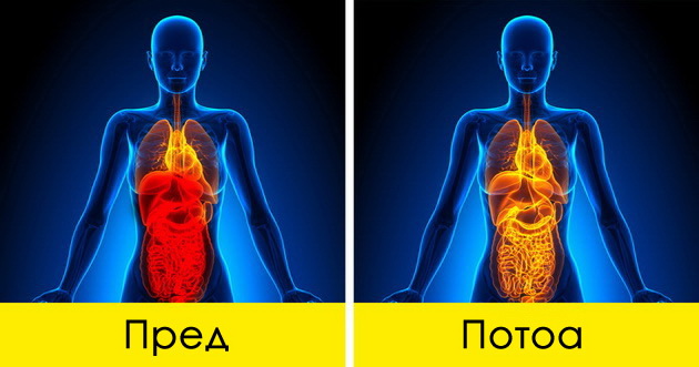 8-raboti-shto-kje-mu-se-sluchat-na-teloto-ako-pochnete-sekoj-den-da-piete-sok-od-domati-05.jpg