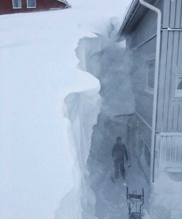fotografii-shto-pokazhuvaat-kakov-e-zhivotot-na-ekstremni-vremenski-temperaturi-17.jpg