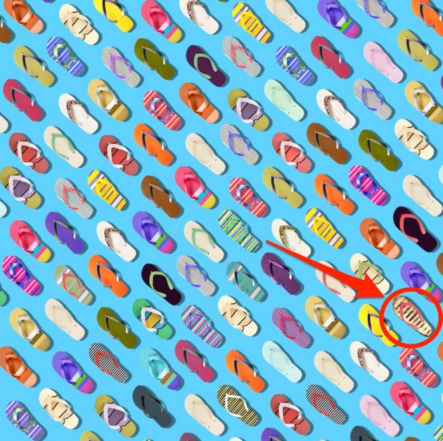 ilustracija-shto-go-zbuni-celiot-svet-mozhete-li-da-go-najdete-modriot-patlidzan-02.jpg