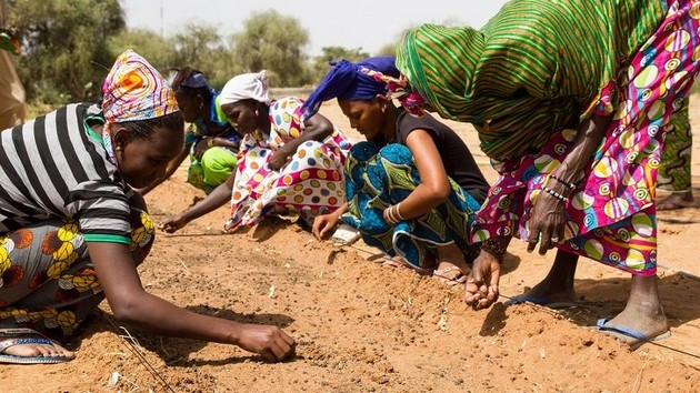 golemiot-zelen-dzid-ambiciozen-proekt-vo-afrika-vo-borba-protiv-klimatskite-promeni-02.jpg