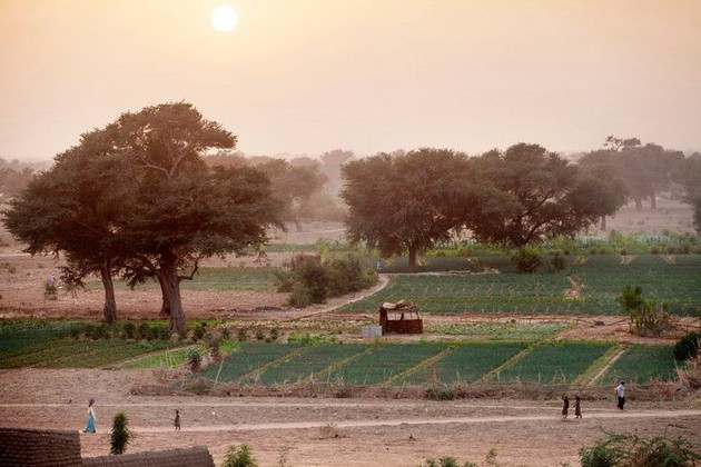 golemiot-zelen-dzid-ambiciozen-proekt-vo-afrika-vo-borba-protiv-klimatskite-promeni-04.jpg