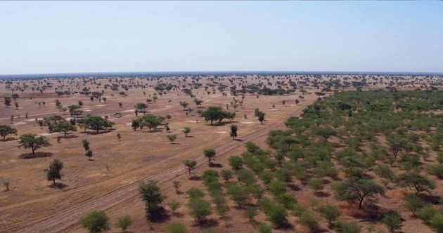 golemiot-zelen-dzid-ambiciozen-proekt-vo-afrika-vo-borba-protiv-klimatskite-promeni-05.jpg