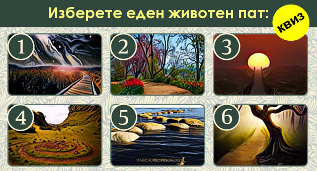 kviz-po-koj-zhivoten-pat-bi-trgnale-001.jpg