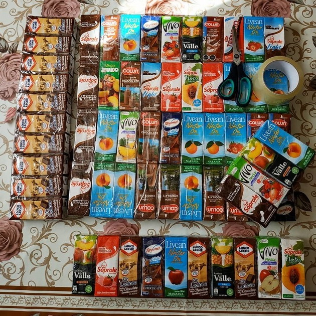 snaodliva-zena-gradi-kukjicki-za-bezdomni-zivotni-od-tetrapak-sokcinja-07.jpg