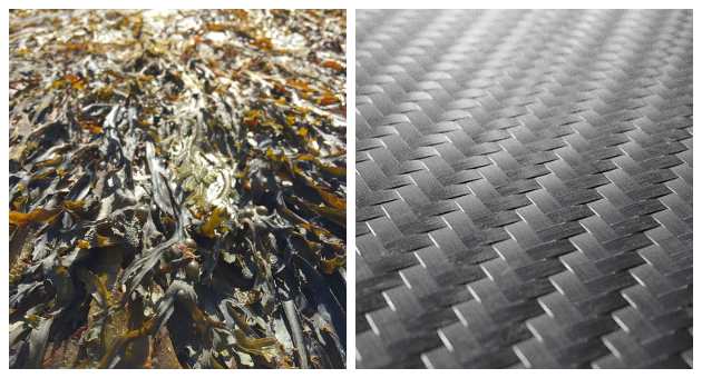 Nauchnici pretvoraat algi vo materijal so svojstva na chelik 01