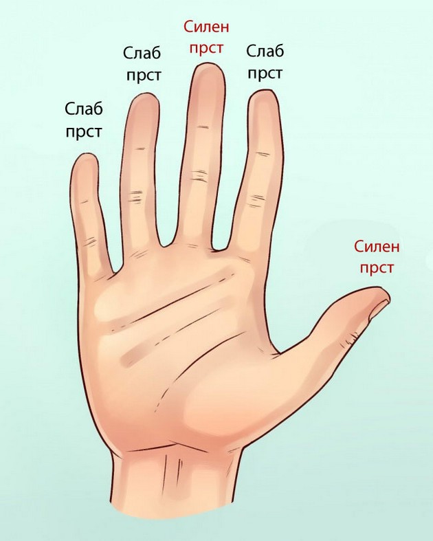 kak-da-odredite-nechij-karakter-spored-formata-na-negovite-prsti-02.jpg