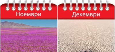 kalendar-na-prirodni-fenomeni-shto-se-gledaat-samo-ednash-vo-godinata-povekje.jpg
