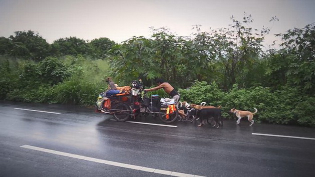 pominal-14-000km-so-kolichka-okolu-meksiko-za-da-spasuva-bezdomni-zhivotni-ni-se-vrakja-verbata-vo-humanosta-06.jpg