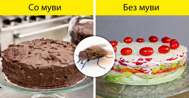 bez-pcheli-kje-nema-hrana-shto-kje-se-sluchi-ako-ischeznat-site-insekti-na-planetata-05.jpg