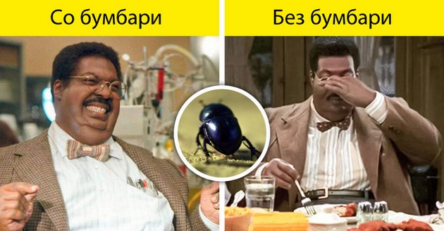 bez-pcheli-kje-nema-hrana-shto-kje-se-sluchi-ako-ischeznat-site-insekti-na-planetata-06.jpg
