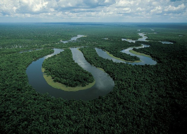 cashback-world-preku-fondacijata-greenfinity-zapochna-proekt-za-poshumuvanje-i-zachuvuvanje-na-amazonskata-prashuma-03.jpg