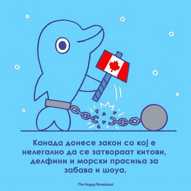umetnik-gi-ilustrira-najubavite-raboti-koi-se-slucija-niz-svetot-vo-2019ta-godina-12.jpg