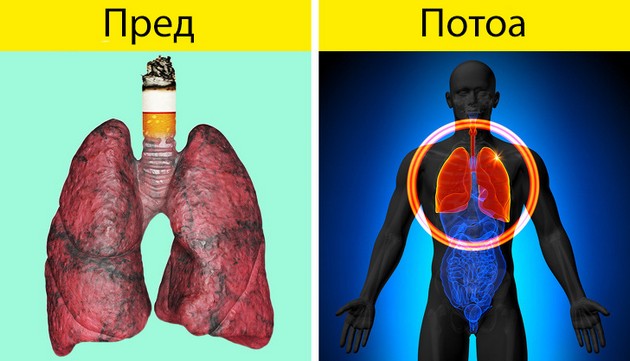 znaci-deka-treba-da-obrnete-vnimanie-na-zdravjeto-na-belite-drobovi-07.jpg