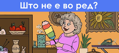 domakjinska-zagatka-shto-ne-e-vo-red-na-ilustracijata-povekje01.jpg