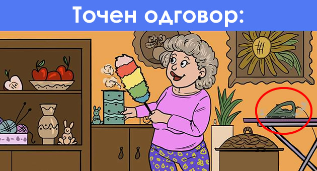 domakjinska-zagatka-shto-ne-e-vo-red-na-ilustracijata02.jpg