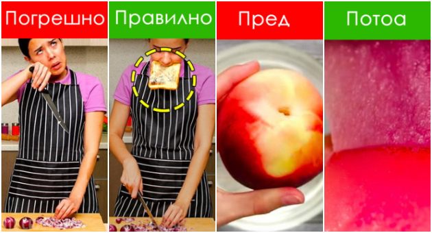 kako-da-ne-plachete-od-kromid-i-ushte-10-trikovi-so-koi-kje-stanete-ekspert-vo-kujna-01.jpg