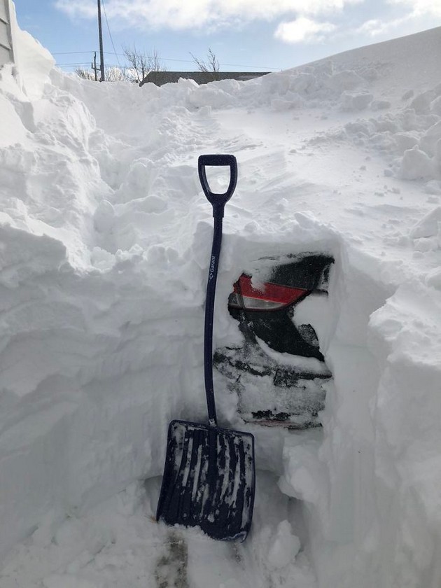 kanada-ja-pogodi-snezhna-bura-kako-se-spravuvaat-kanagjanite-foto-10.jpg