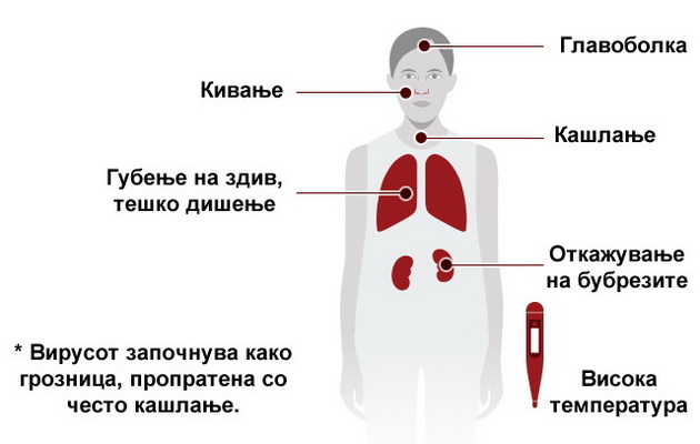 shto-e-kako-se-poznava-i-prenesuva-korona-virusot-1.jpg