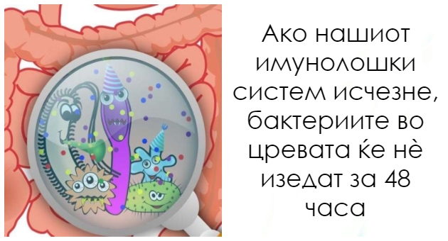 12 neochekuvani, pomalku prijatni fakti koi sosema kje ve iznenad 01 630x340.jpg