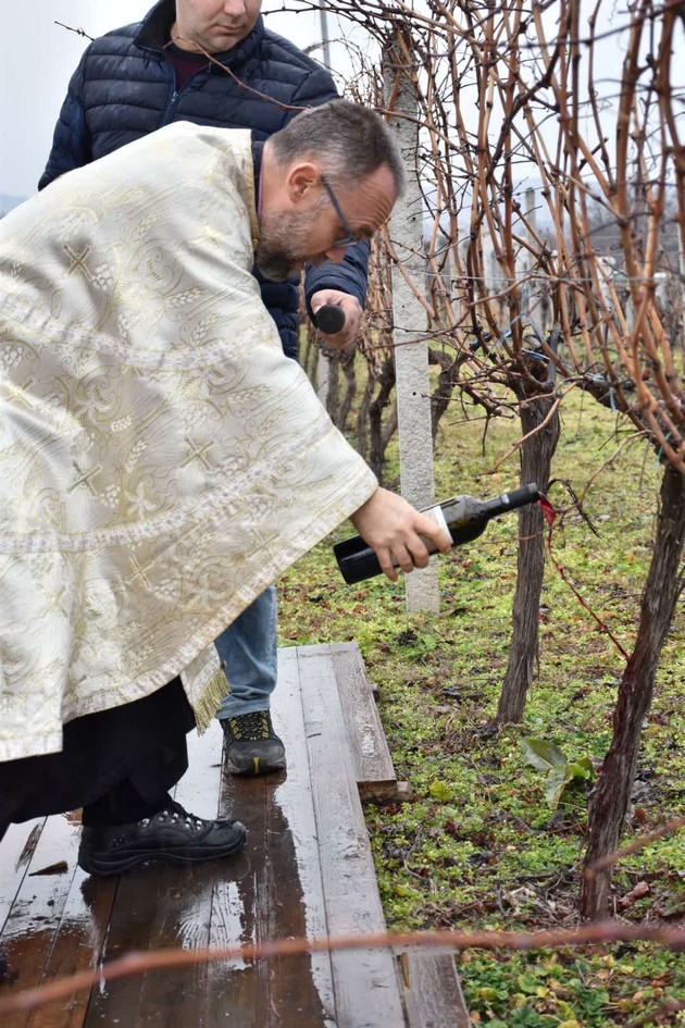 stobi-so-tradicija-od-11-godini-kako-uspeshen-makedonski-brend-go-zakroi-lozjeto-za-sv-trifun-05.jpg