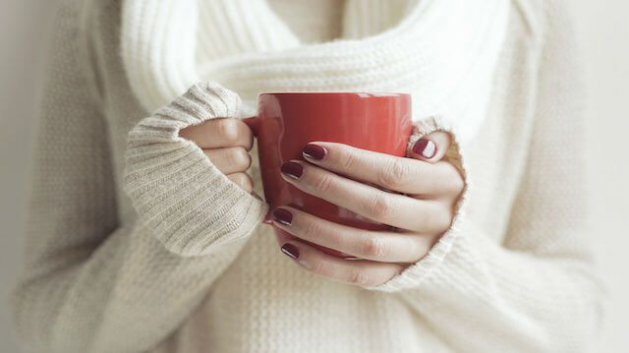 3 prirodni pijalaci koi gi reguliraat hormonite vo tek na menopauza 01