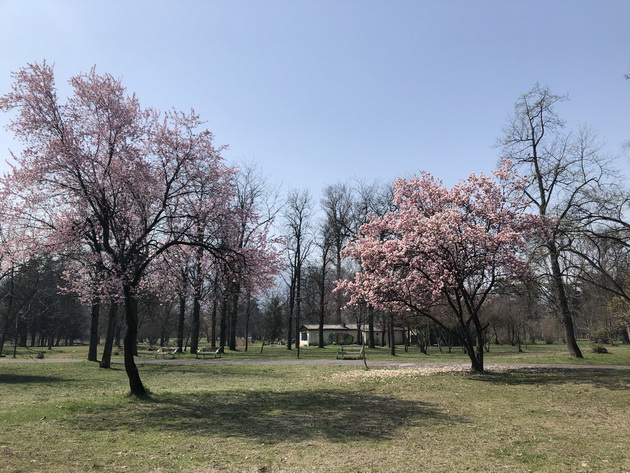 gradskiot-park-vo-skopje-vo-ova-nedelno-soncevo-utro-foto23.jpg