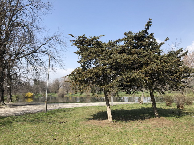 gradskiot-park-vo-skopje-vo-ova-nedelno-soncevo-utro-foto25.jpg