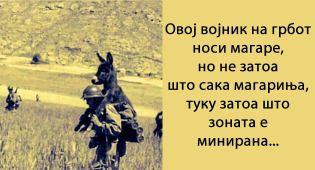 pouchna-prikazna-za-koronata-ti-vojniku-nosi-go-magareto-na-grb-01.jpg