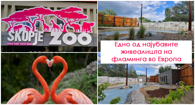 otvorena-e-zooloshkata-vo-skopje-kako-kje-izgleda-zhivealishteto-na-flamingata-foto-001.jpg