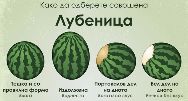 Kako-da-odberete-sovrsena-lubenica-01.jpg