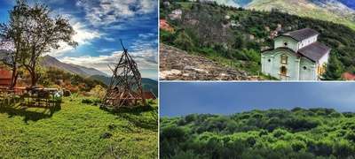 Papradiste-div-zelen-raj-povekje.jpg